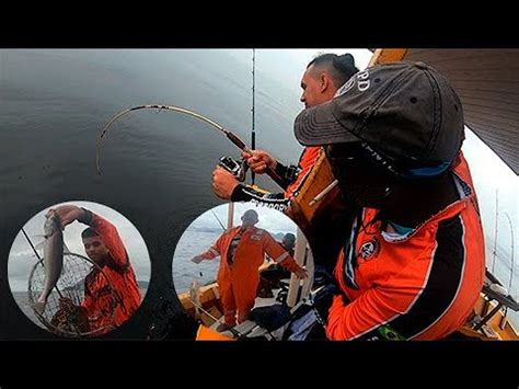 Voltamos Na Baia De Guanabara E N O Pode Faltar O Camar O Vivo Youtube