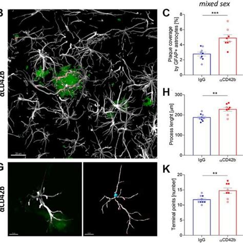 Platelet Depletion Increases Astrocytic Coverage Of Fibrillary Amyloid