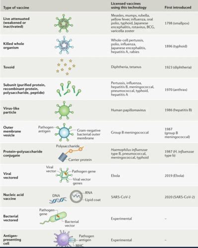 Vaccine Flashcards Quizlet