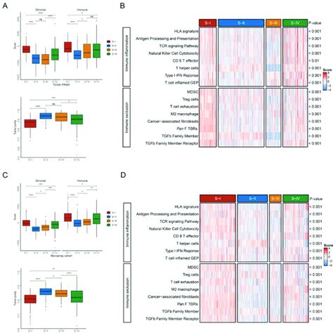 The Immune Landscape Of The Pca Subtypes The Immune Score Stromal