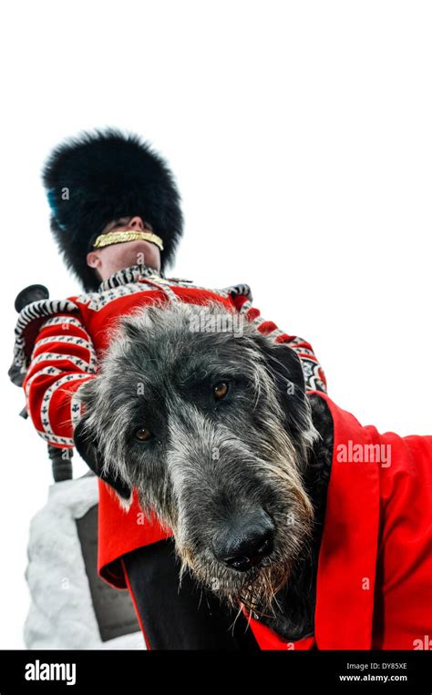 Irish Guard Mascot Hi Res Stock Photography And Images Alamy