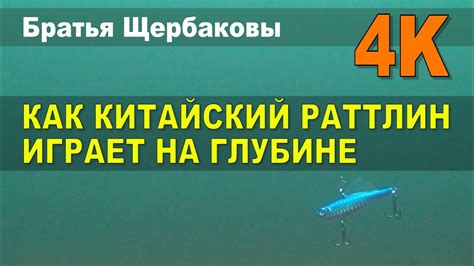 КАК КИТАЙСКИЙ РАТТЛИН ИГРАЕТ НА ГЛУБИНЕ - YouTube