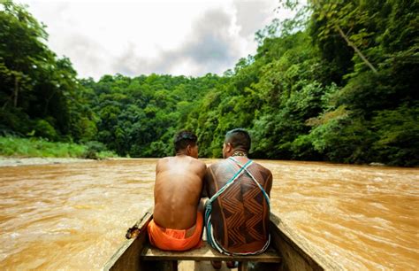 Las Comunidades Ember En La Cuenca Del Canal De Panam Porvidaind Gena