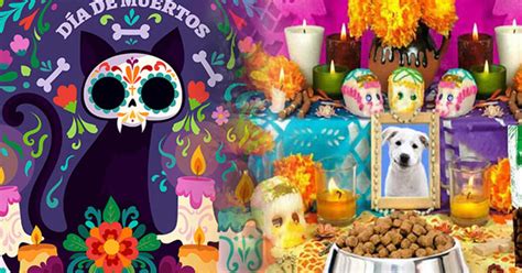 Día de muertos de mascotas cuándo es y cómo poner el altar para los