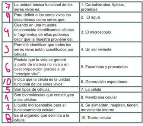 Biolog A I Tarea Relaciona Las Siguientes Columnas Seg N Sea La