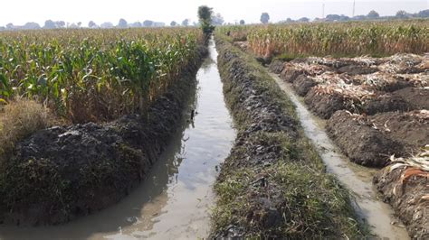 Johorejo Kerja Bhakti Pembersihan Saluran Air Blok Sasem Desa Johorejo