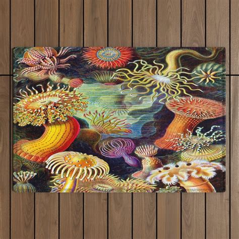 Under The Sea Sea Anemones Actiniae By Ernst Haeckel Outdoor Rug By