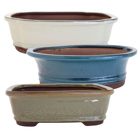 Willory Bonsai Pot Pots And Planters Mitre 10™