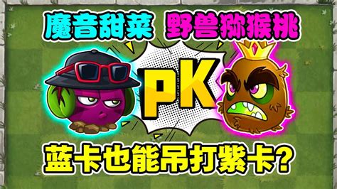 植物大战僵尸2：魔音甜菜与野兽猕猴桃的pk赛，蓝卡也能吊打紫卡？ Youtube