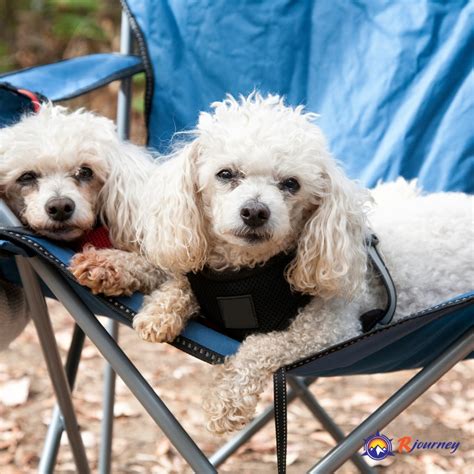 Pearl Lake Rv Campground Home