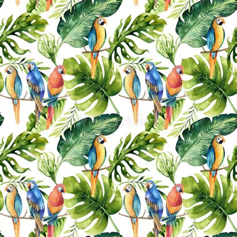 Seamless Tropical Jungle Pattern Stock Illustrations 107 127 Seamless