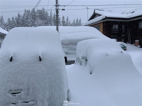 ひと晩で50cm近く積雪増 今日も北陸など日本海側は大雪や吹雪に警戒 ウェザーニュース