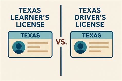 Discover What Makes a Texas Limited Term Driver License Unique and Valuable