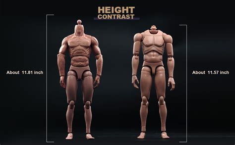 Amazon RoofWorld Scale Nude Male Figure Body Europe Asian Skin Muscular Body Model Man