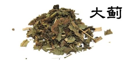 農村這種刺草，人稱「賤草」，殊不知是上好野菜，城裡8元一斤 壹讀