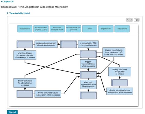 Solved Chapter 26 Concept Map Renin Angiotensin Aldosterone Chegg