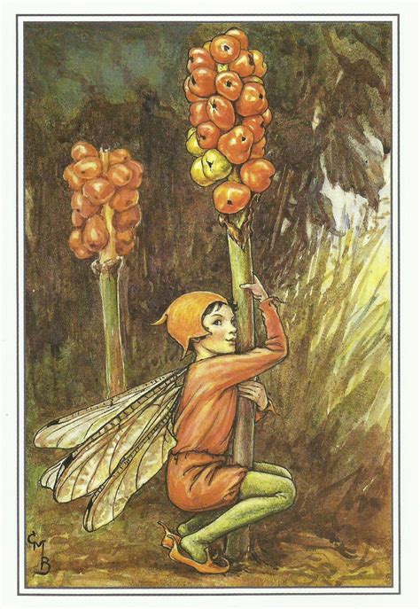 Cicely Mary Barker Lords And Ladies Fairy Rush Grass Fairy Etsy Flower Fairies Cicely Mary