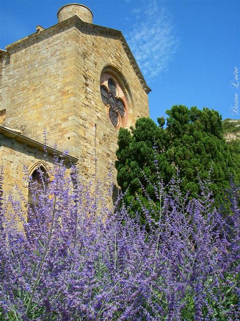 Abbaye De Fontfroide Fontfroide Abbey Fontfroide Abbey O Flickr