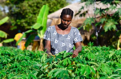 The Gender Dimension To Climate Compatible Development Climate And Development Knowledge Network