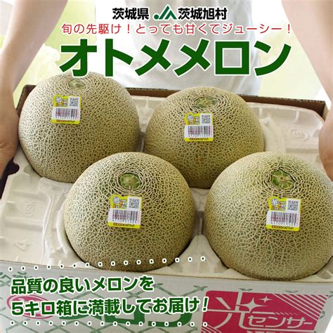 茨城県産 Ja茨城旭村 オトメメロン A品 4lから3lサイズ 5キロ箱 3玉から4玉 送料無料 メロン めろん 青肉メロン 市場発送