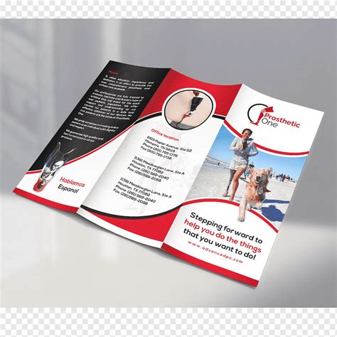 Brochure Designer Project Trifold Design Innovation United States