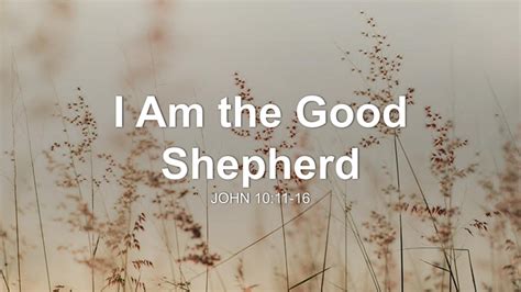 I Am The Good Shepherd Sermon By Sermon Research Assistant John 1011
