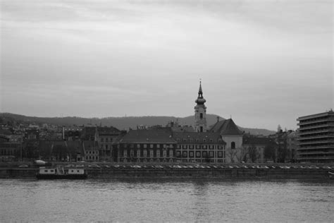 DAILY PHOTO Monochrome Budapest Tiger Riding For Beginners