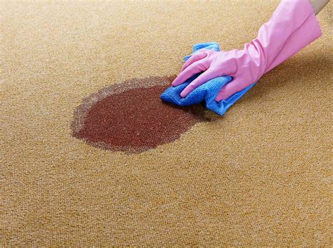 How To Clean Dried Blood Stains From Carpet