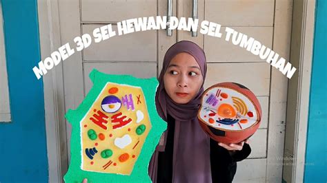 Membuat Model D Sel Hewan Dan Sel Tumbuhan Youtube