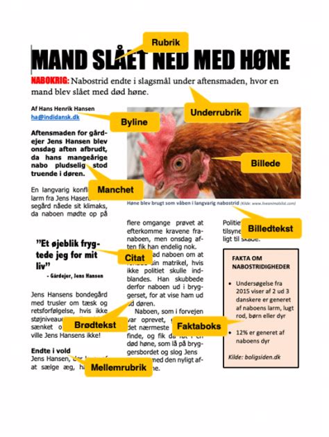 Artikel Layout Indidansk