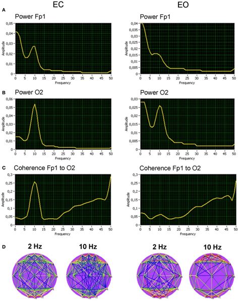 Grand Averages Of The Spectral Power And Coherence Of The Two Selected