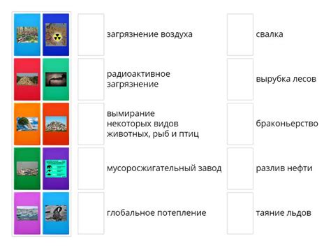 Экология - Match up