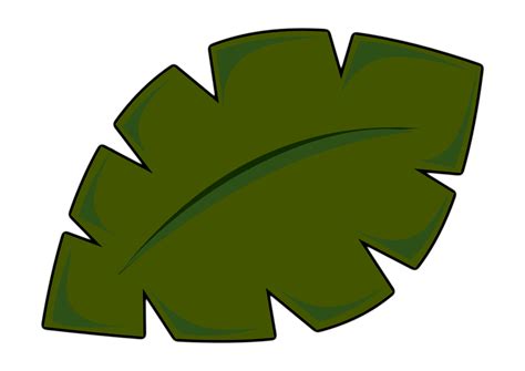 Png Jungle Leaf Transparent Jungle Leafpng Images Pluspng