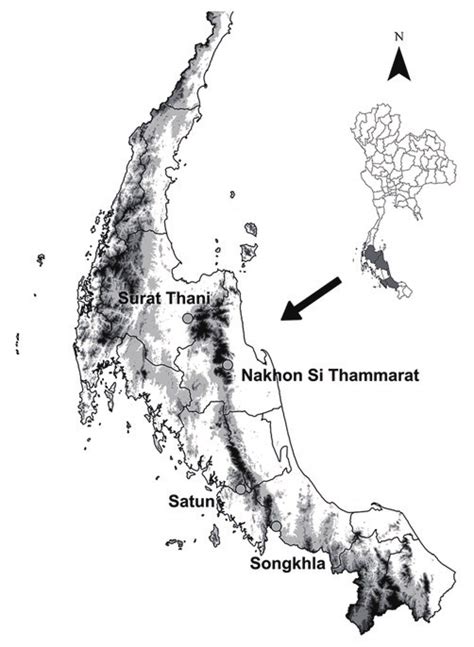 Map of southern Thailand showing the localities where the specimens ...