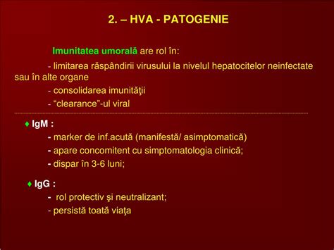 Ppt Hepatite Acute Viral E Hav Powerpoint Presentation Free