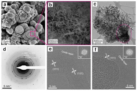 Electron Microscopy Of Silicon Nanowire Cluster SiNC Scanning