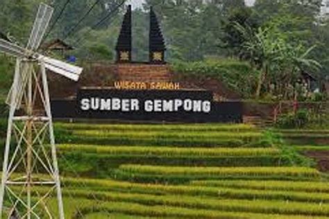 Berita Seputar Wisata Trawas Sawah Sumber Gempong Liburan Keluarga Seru