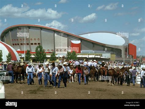 Saddledome Calgary Stampede Calgary AB Stock Photo - Alamy