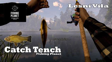 How To Catch Tench Lesn V La Fishing Planet Youtube