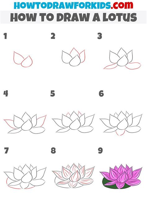 How To Draw A Lotus Step By Step Flower Drawing Mini Drawings Lotus