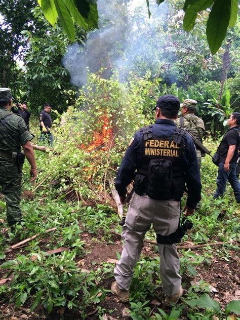 Polic A Federal Ministerial Policia Federal Mexico Pgr Mexico