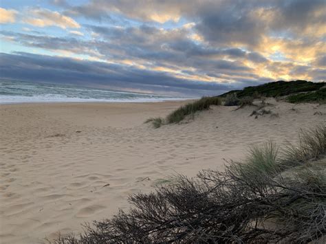 Golden Beach, Victoria | Minky's Day Out