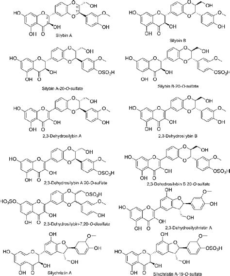 Figure 1 From The Effect Of Silymarin Flavonolignans And Their Sulfated