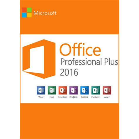 Microsoft Office Professional Plus Office Pro Plus User