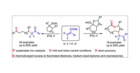 Iron Catalyzed Alkoxyl Radical Induced CC Bond Cleavage Gem