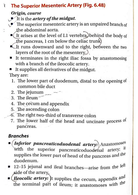 SOLUTION Ll Arteries And Veins Studypool