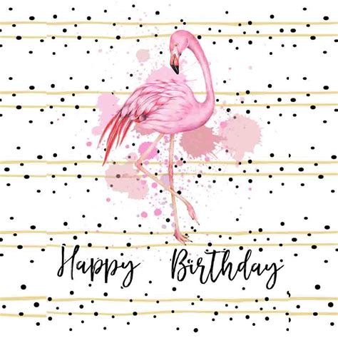 Flamingo Birthday Card Pink Flamingo On One Leg Happy Birthday ECard