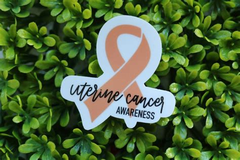 Uterine Cancer Awareness Sticker Fuck Uterine Cancer Uterine Cancer Stickers Cancer Awareness