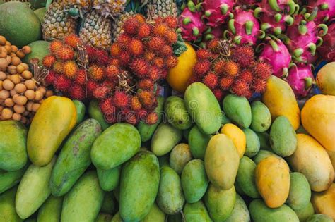 Assortment Of Various Tropical Exotic Asian Fruits On Counter In A