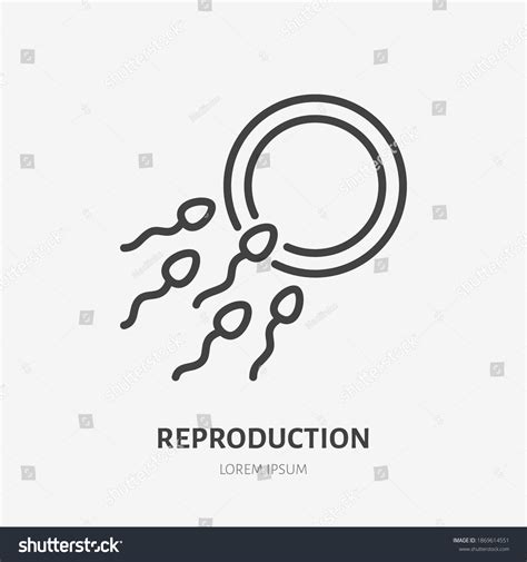 5 655 Infertility Eggs Images Stock Photos Vectors Shutterstock